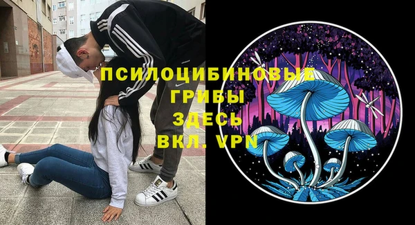 шишки Инта