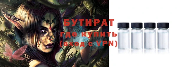 шишки Инта