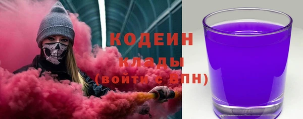 прущий лед Каменка