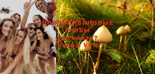 шишки Инта
