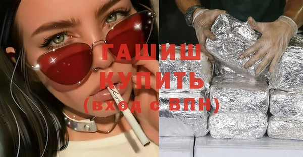 шишки Инта