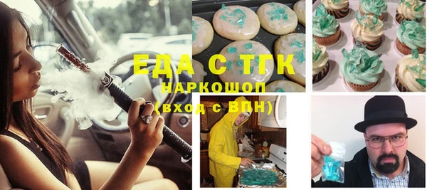 шишки Инта