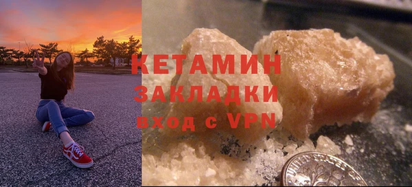 шишки Инта
