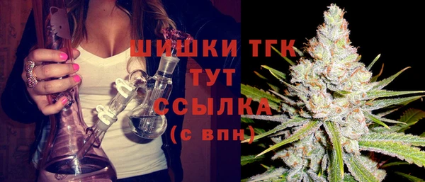 прущий лед Каменка