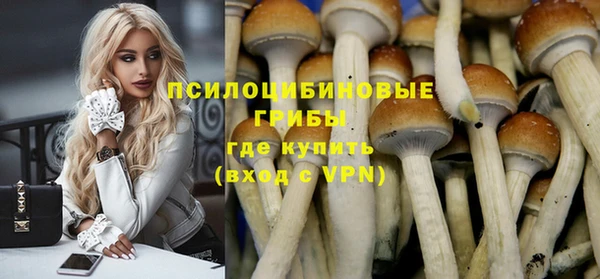 прущий лед Каменка