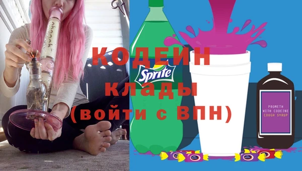 шишки Инта