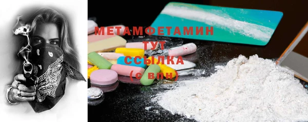 шишки Инта