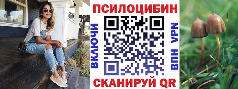 Псилоцибиновые грибы прущие грибы Елизово